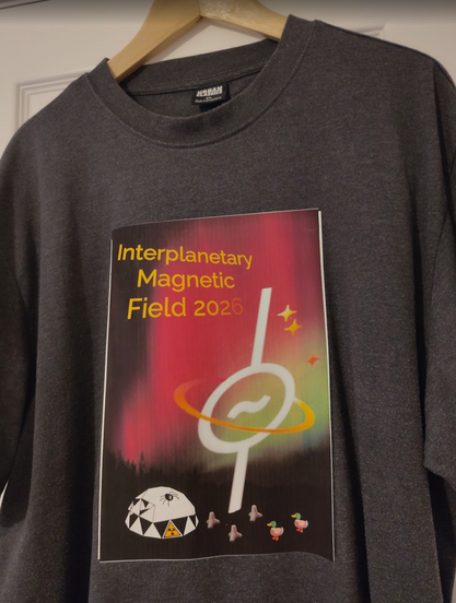 It's a t-shirt with an iron-on transfer of the picture from the earlier post - the one with the spiders, ducks and tetrapods of course.