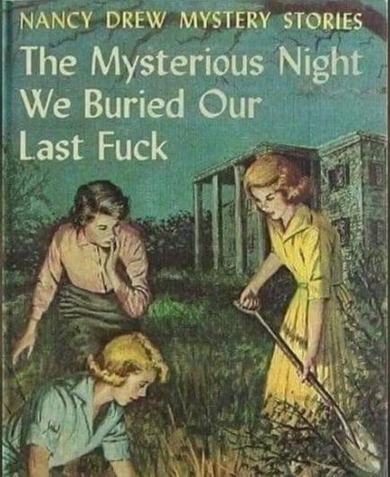 Three women dresses in 40s-50s style- two of them are  digging the ground and one of them looking at the spot  in shock, basically all of them looking like they're straight out of a true crime series. 

Text on the image says "The Mysterious Night We Buried Our Last Fuck"