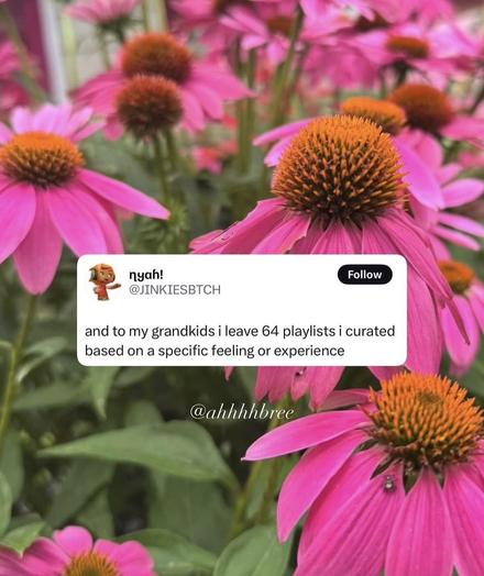 Screenshot of a text reading “and to my grandkids I leave 64 playlists I curated based on a specific feeling or experience” over a background of echinacea