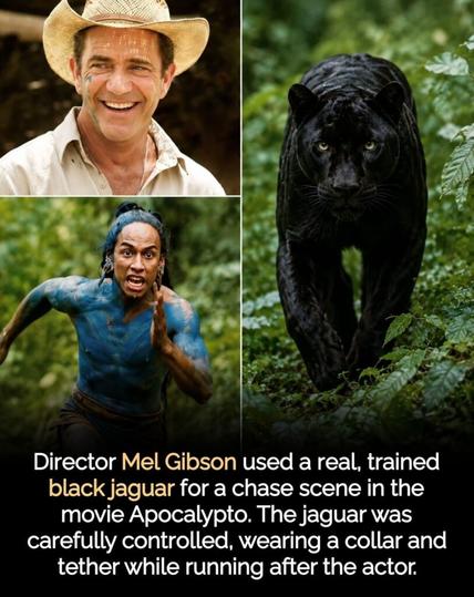 Mel Gibson took a huge gamble with Apocalypto. An ancient-language thriller shot in the jungle with mostly unknown actors. It became a hit, and that unforgettable jaguar chase was filmed with a real jaguar.