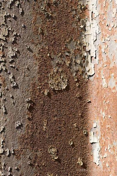 A vertical image.  From a distance, 3 bands of vertical colour: taupe, rusty-brown, peach. Painted metal is trying to revert to exposed metal, which is rusting.  Pieces of paint sit on top mostly in little squares and rectangles.