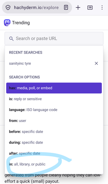 Mastodon web interface showing an options dropdown for the search