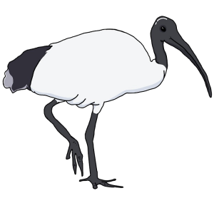 binchicken