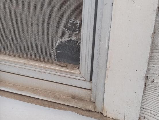 A window with a fly screen covering it, and a roughly mouse-sided hole in the screen's bottom right corner.