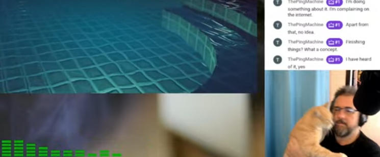 Partial screenshot of a video game stream in progress with me in the corner holding up a ginger cat who's trying to get into the influencer business I think