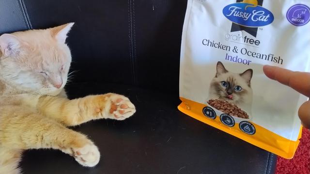 A ginger cat sleeping on a chair, there's a bag of cat biscuits next to him and my finger indicating the word 