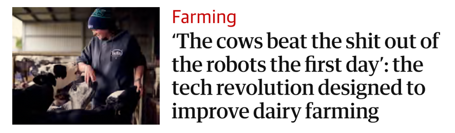 Headline screenshot ‘The cows beat the shit out of the robots the first day’: the tech revolution designed to improve dairy farming