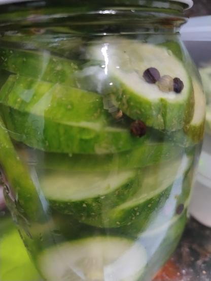 Close up of cucumber slices and peppercorns in a jar of liquid. 
