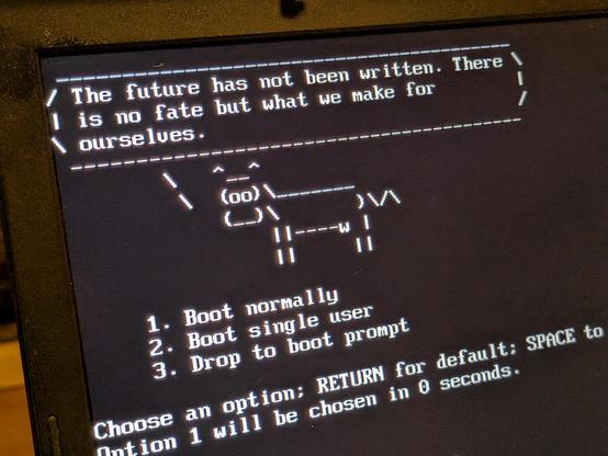 A NetBSD boot prompt headed by an ASCII cow saying 
